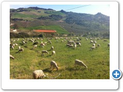 Just outside my flat in Montecorto