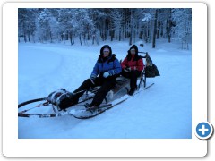 Dogsledding