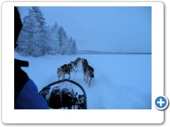 Dogsledding
