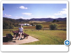 View of the Hunter Valley