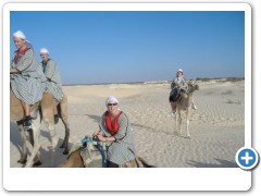 my camel decided to sit