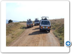 Masai Mara jeeps