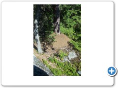 really big ants nest by strindbergstuga