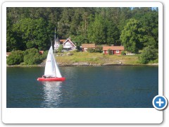 How the other half live