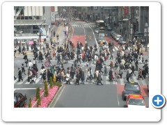 Biggest crossing in Tokyo