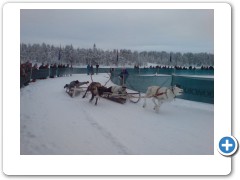 Reindeer racing