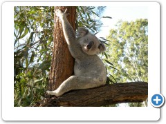Rockhampton Biological Gardens